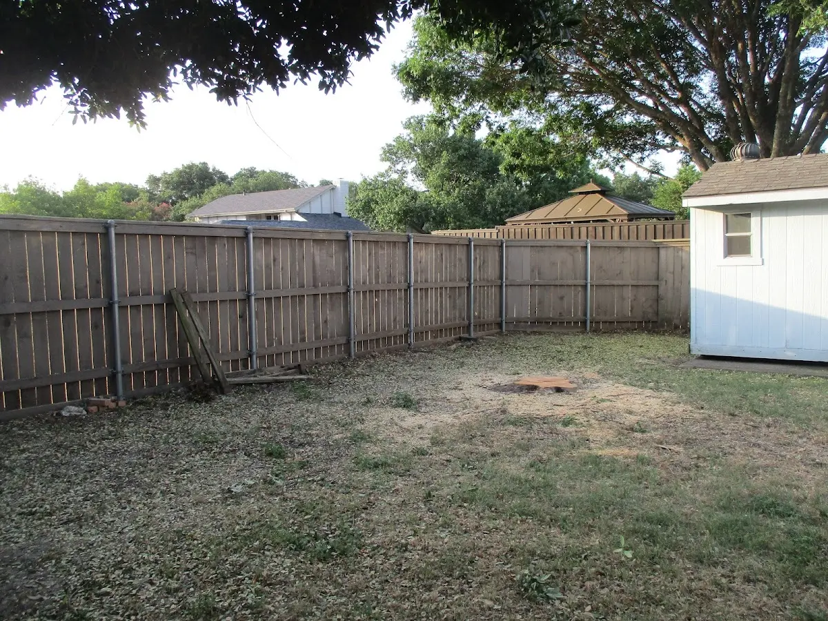 Cleared yard after professional tree removal in East Hampton